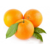 助力湖北橙子包邮秭归脐橙应季手剥橙夏橙新鲜水果现摘整箱榨汁橙