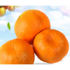 芦柑椪柑橘子新鲜10斤应季水果桔子蜜桔丑橘非四川丑八怪沃柑孕妇