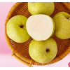 砀山酥梨10斤现摘应季当季孕妇时令新鲜水果香甜雪梨子